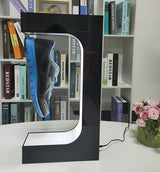 Magnetic Levitating Rotating Shoe Display